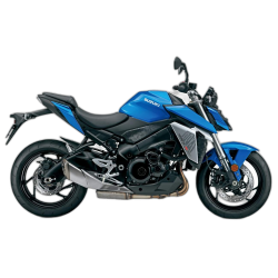 950 GSX-S (2020-2023)