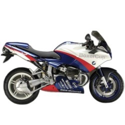 R 1100 S Boxer Cup (2002-2004)