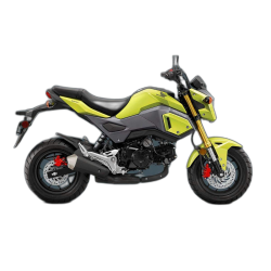 125 MSX (2013-2020)