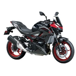 Z 500 (2025)