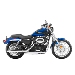 Sportster Roadster XLR (1981-2020)