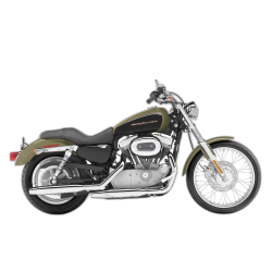 Sportster Custom XLC (1981-2020)