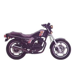 FT 500 Ascot Single (1982-1984)