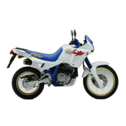 650 Dominator (1988-1994)