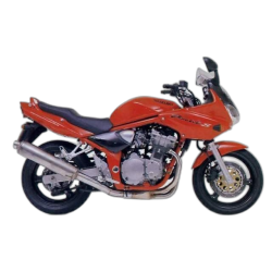 GSF 600 Bandit (2000-2004)