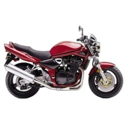 GSF 1200 Bandit (2000-2005)