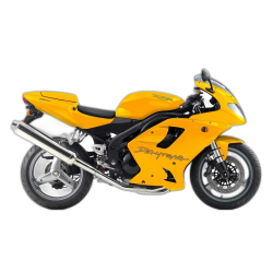 955i Daytona Monobras (2002-2005)
