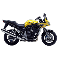 1000 Fazer (2001-2005)